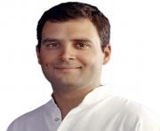 rahul gandhi png 4